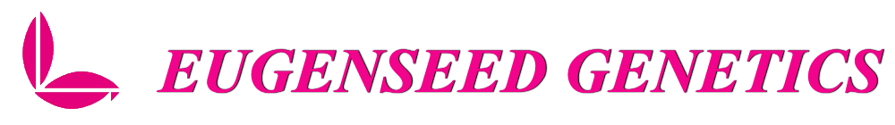 EUGENSEED GENETICS